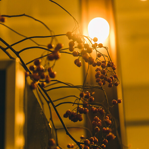 オーガニックワイン